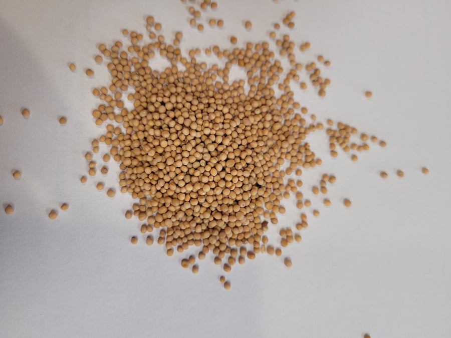 MUSTARD SEED WHOLE 454g